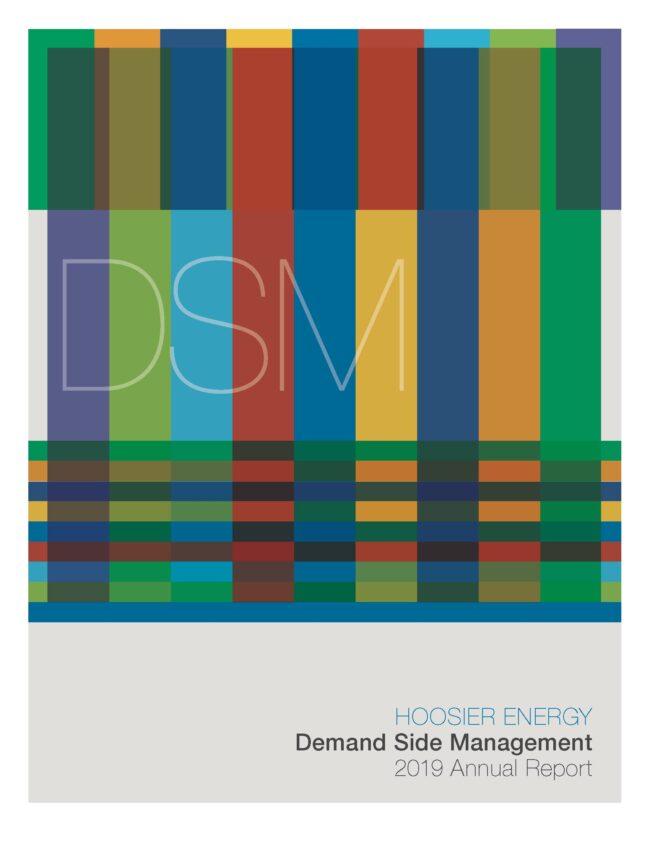 DSM-Informe-anual
